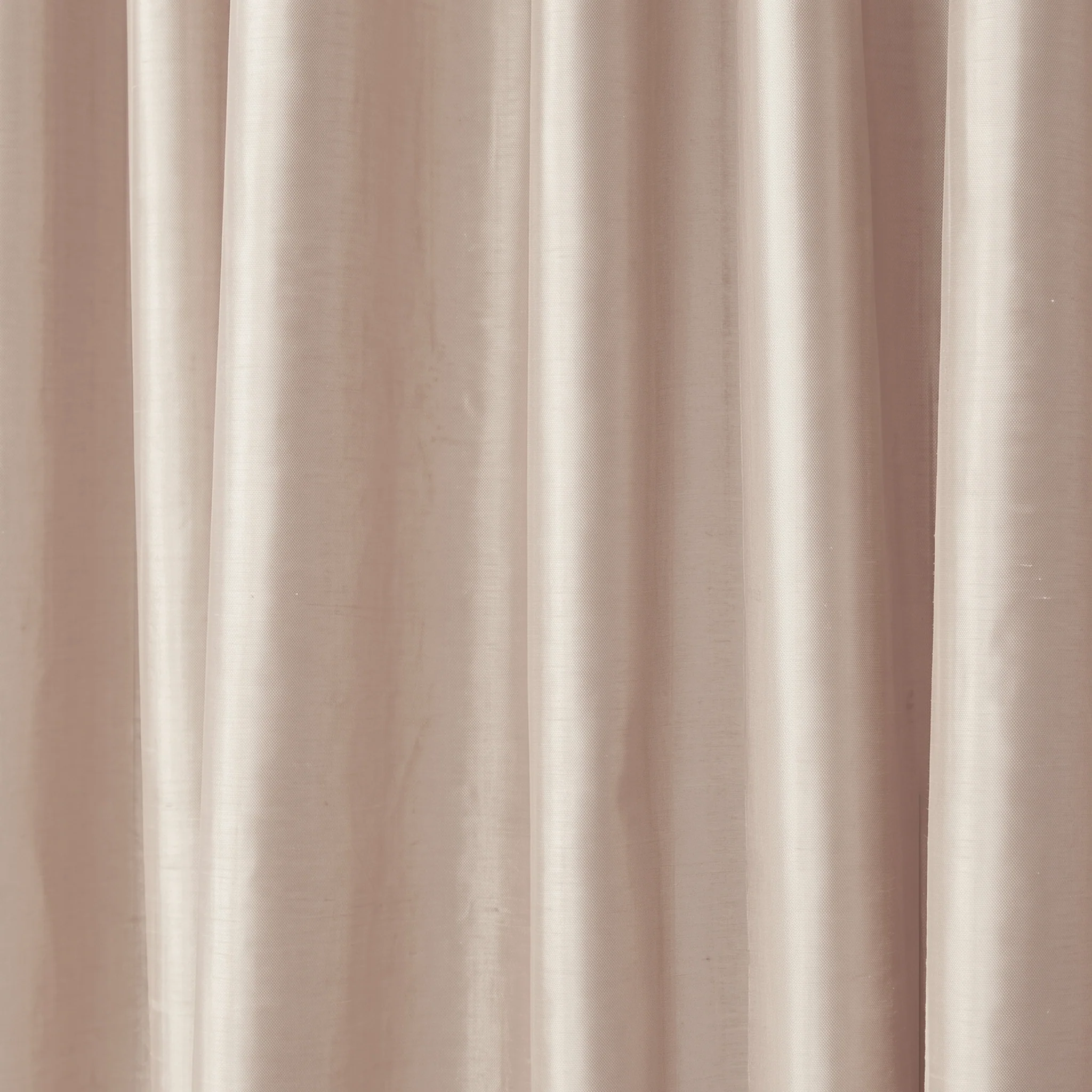 Blush - Image 2