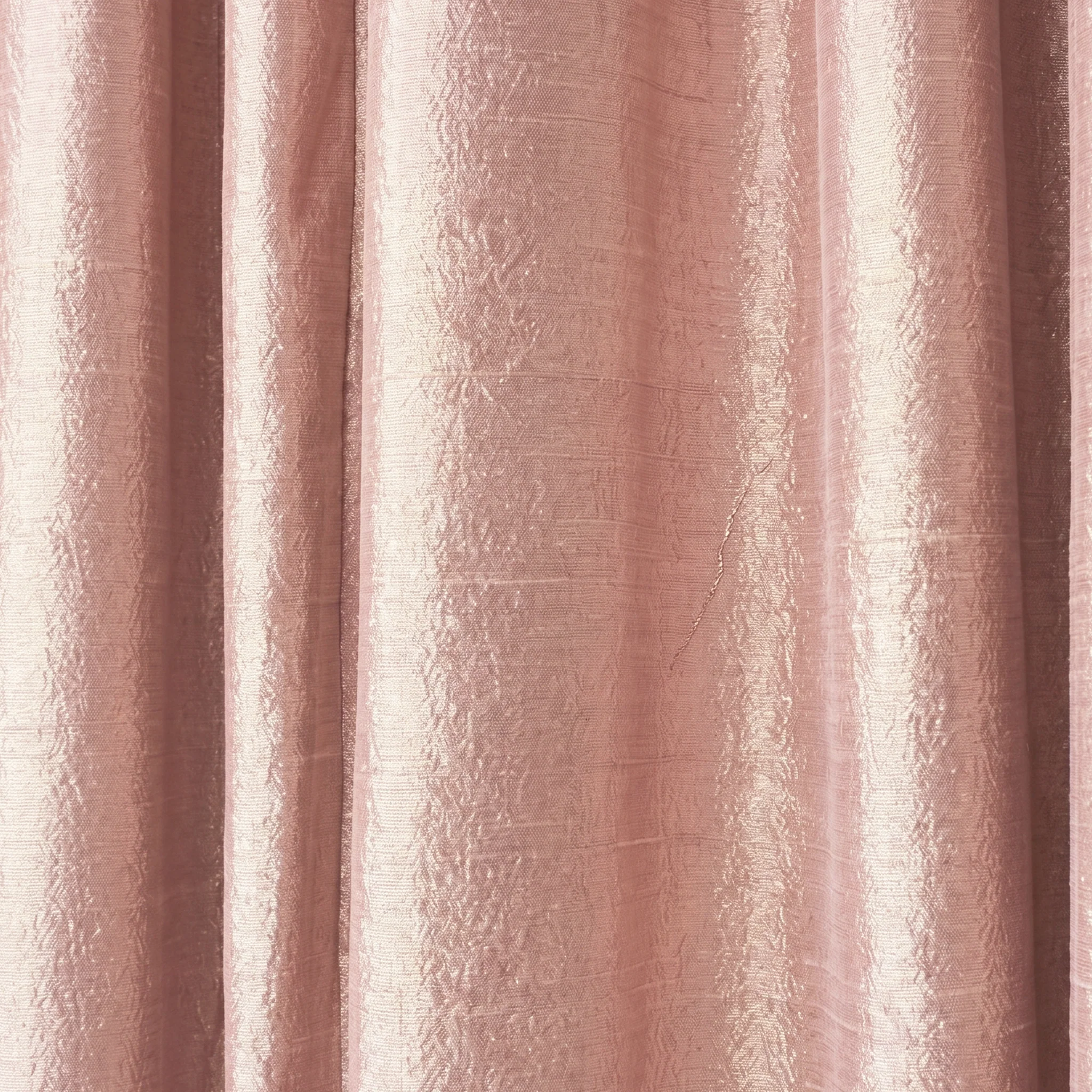 Camelia - Image 2