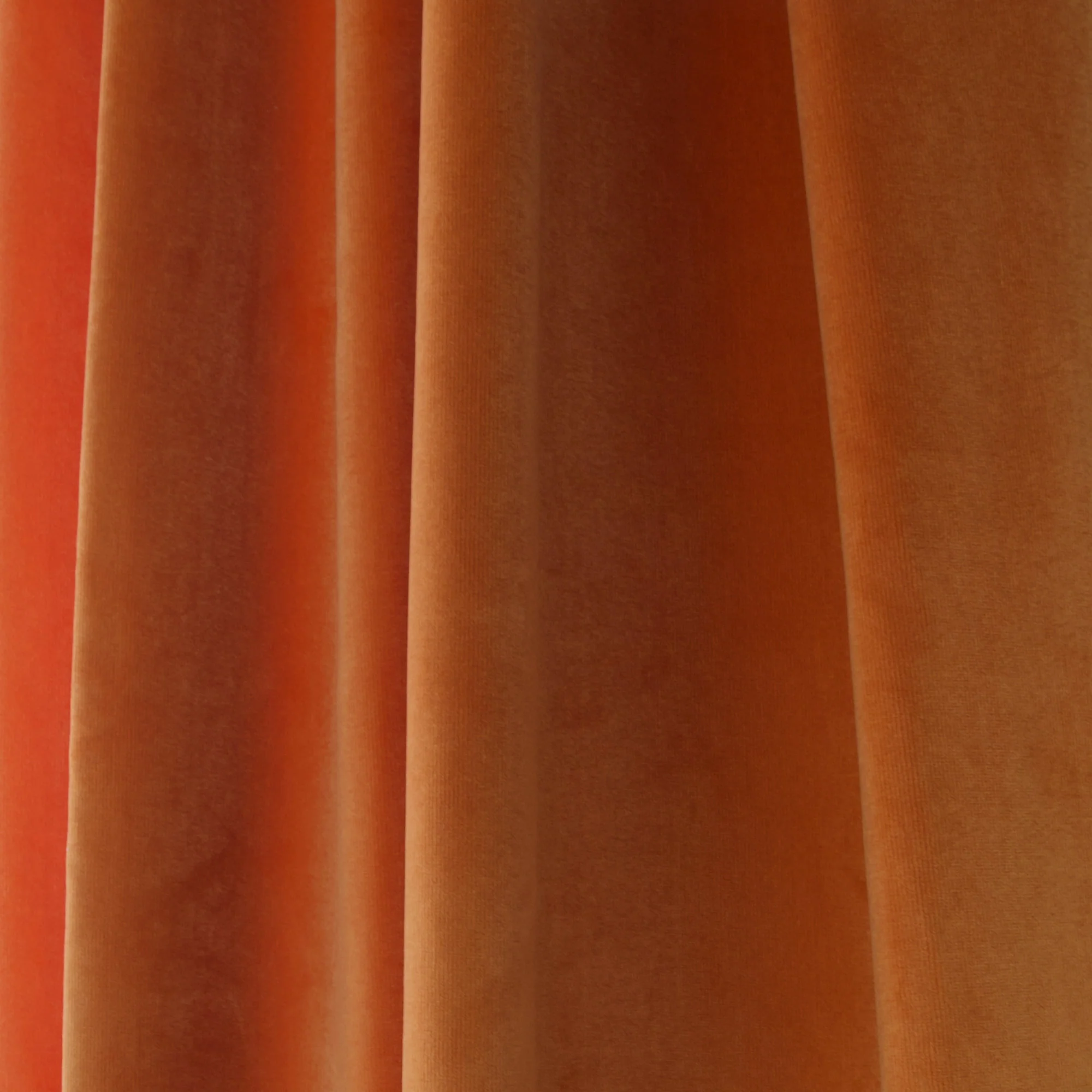 Autumn Velvet - Image 2
