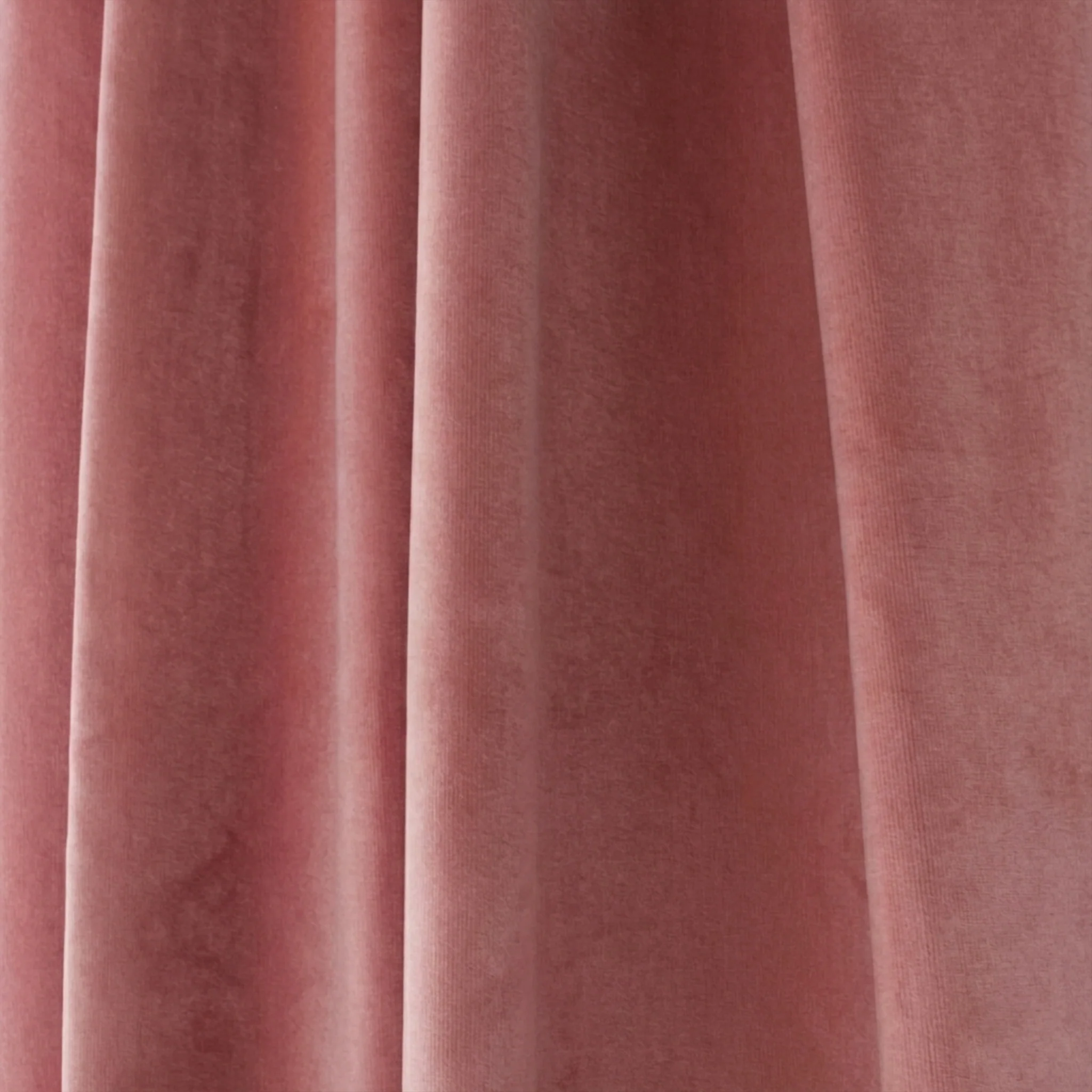 Azalea Velvet - Image 2