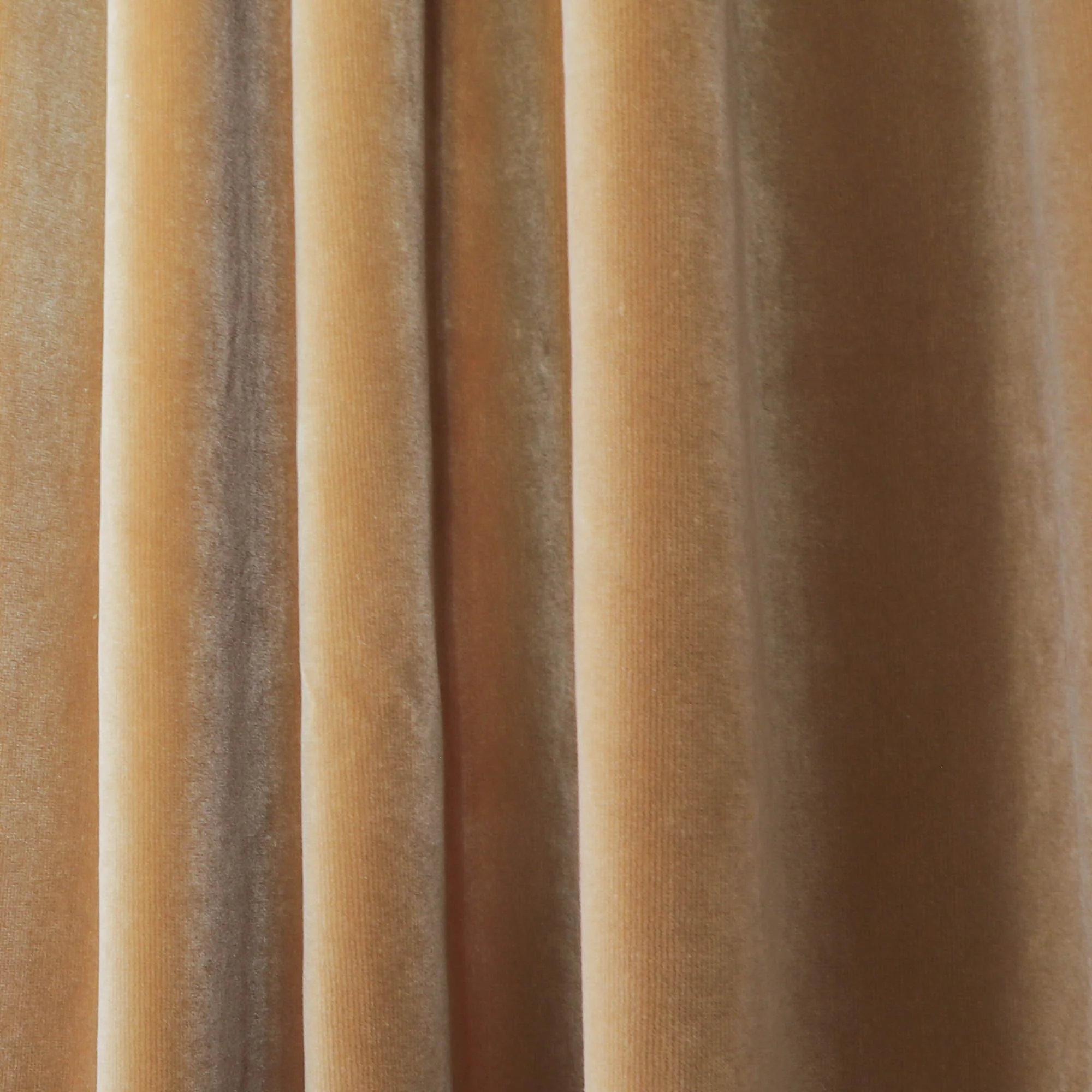 Camel Velvet - Image 2