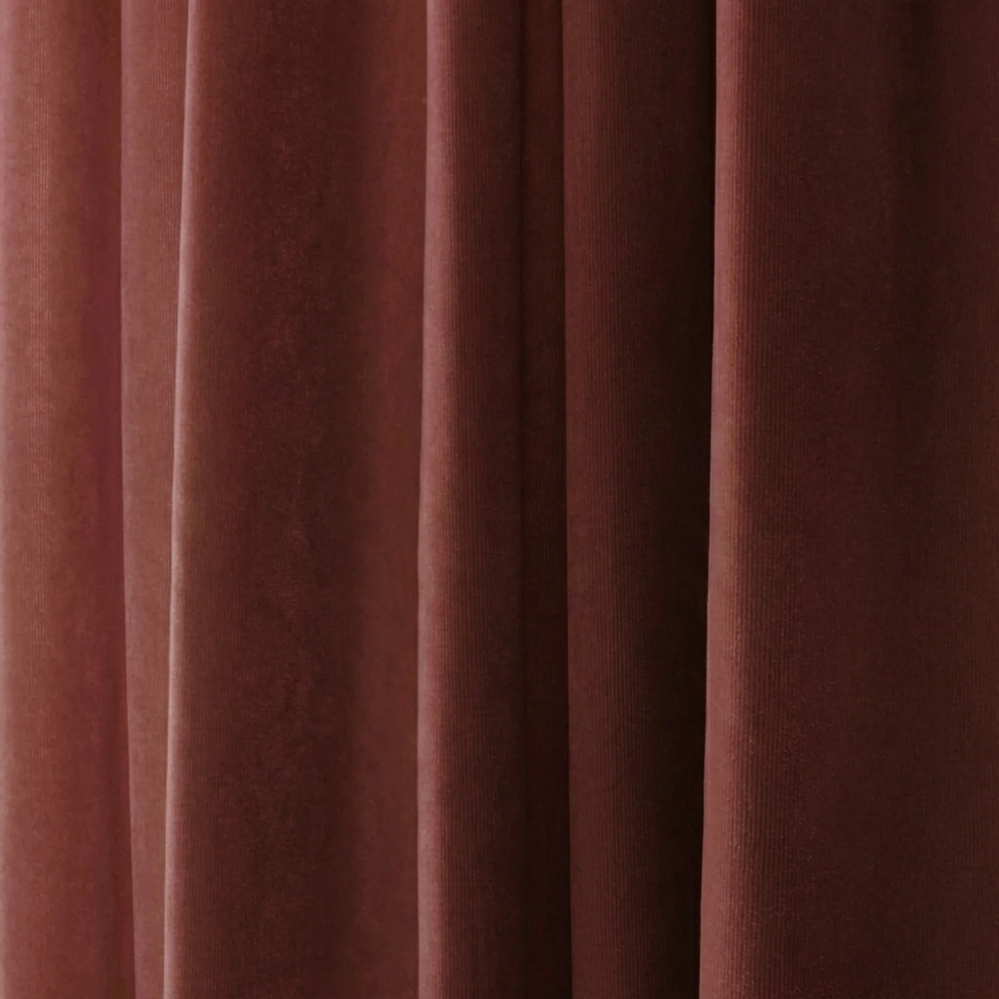 Cinnamon Velvet - Image 2
