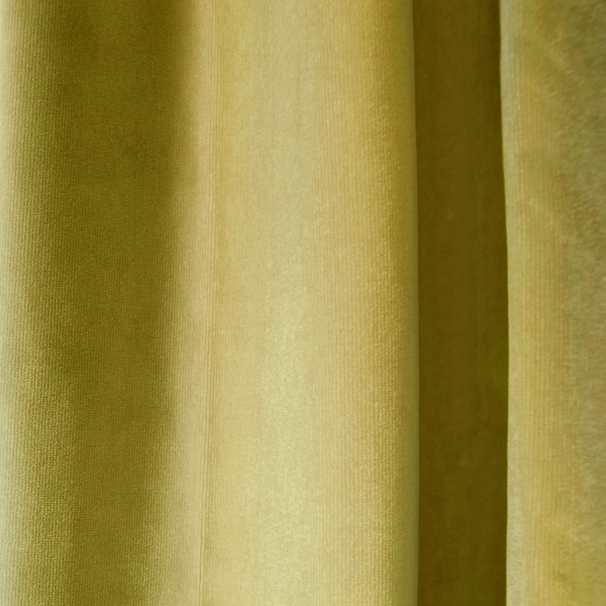 Citron Velvet - Image 2