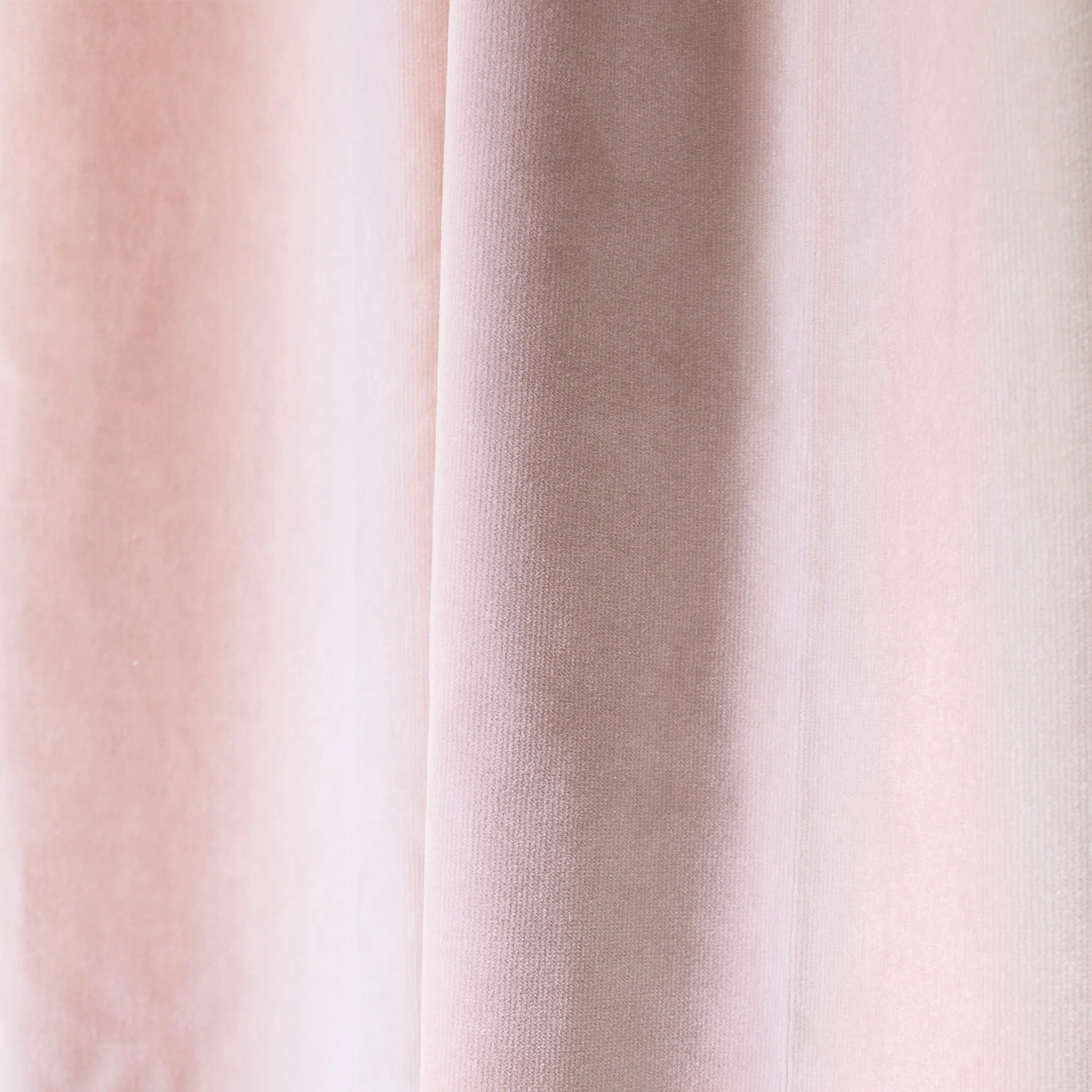 Rose Velvet - Image 2