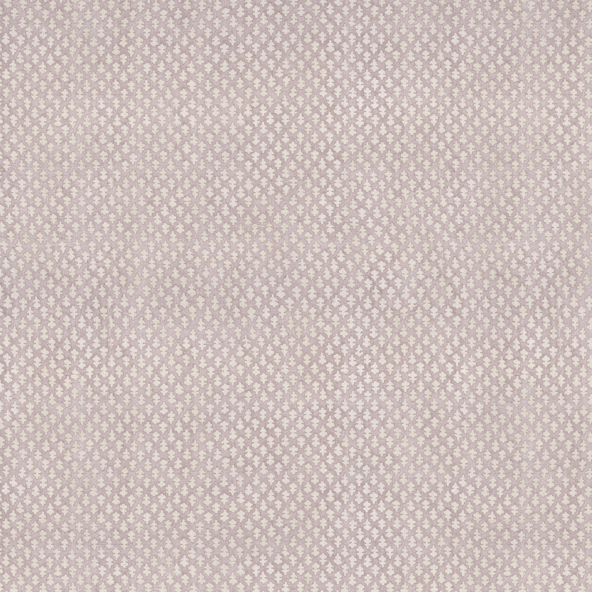 Quinn Wisteria - Image 2