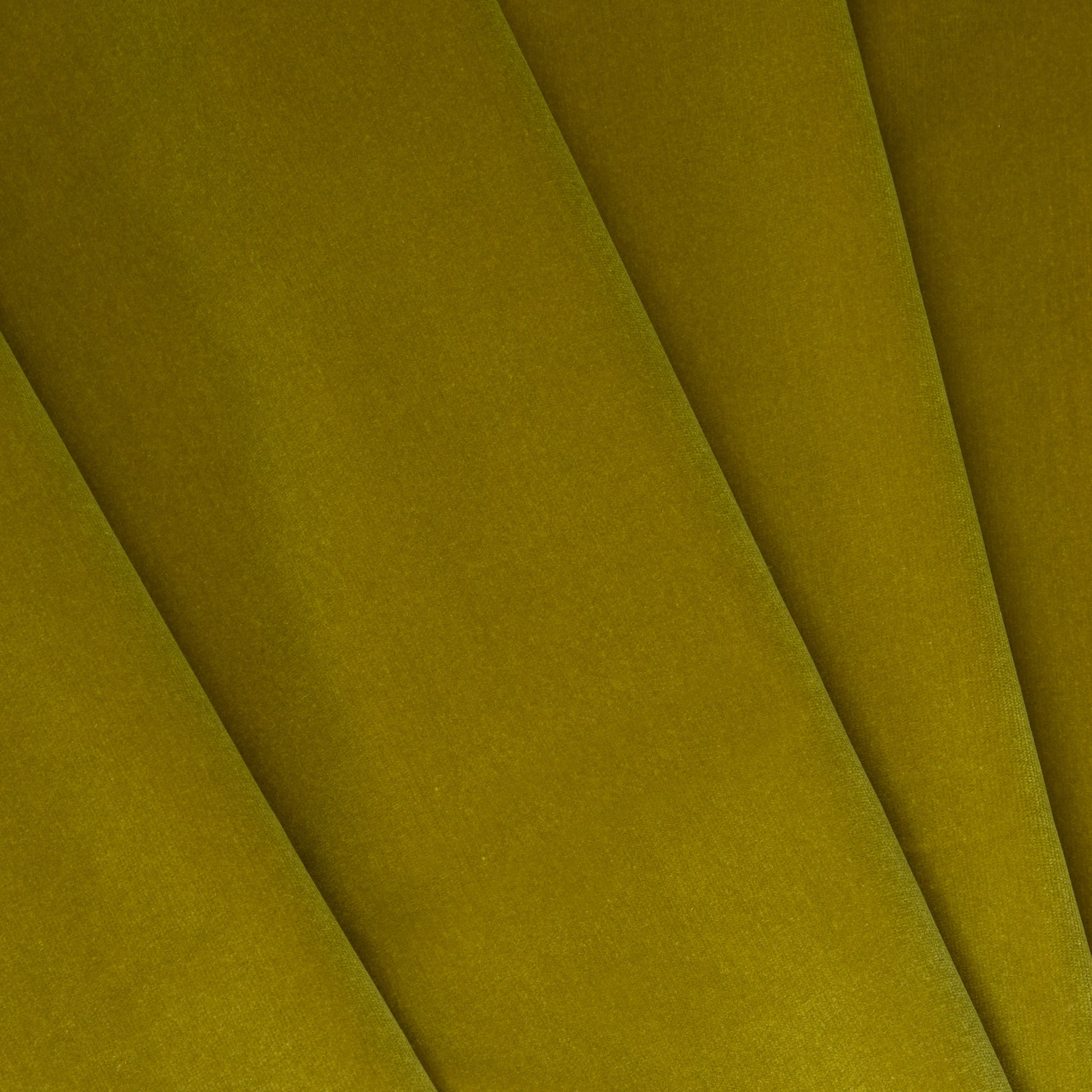 Citron - Image 2