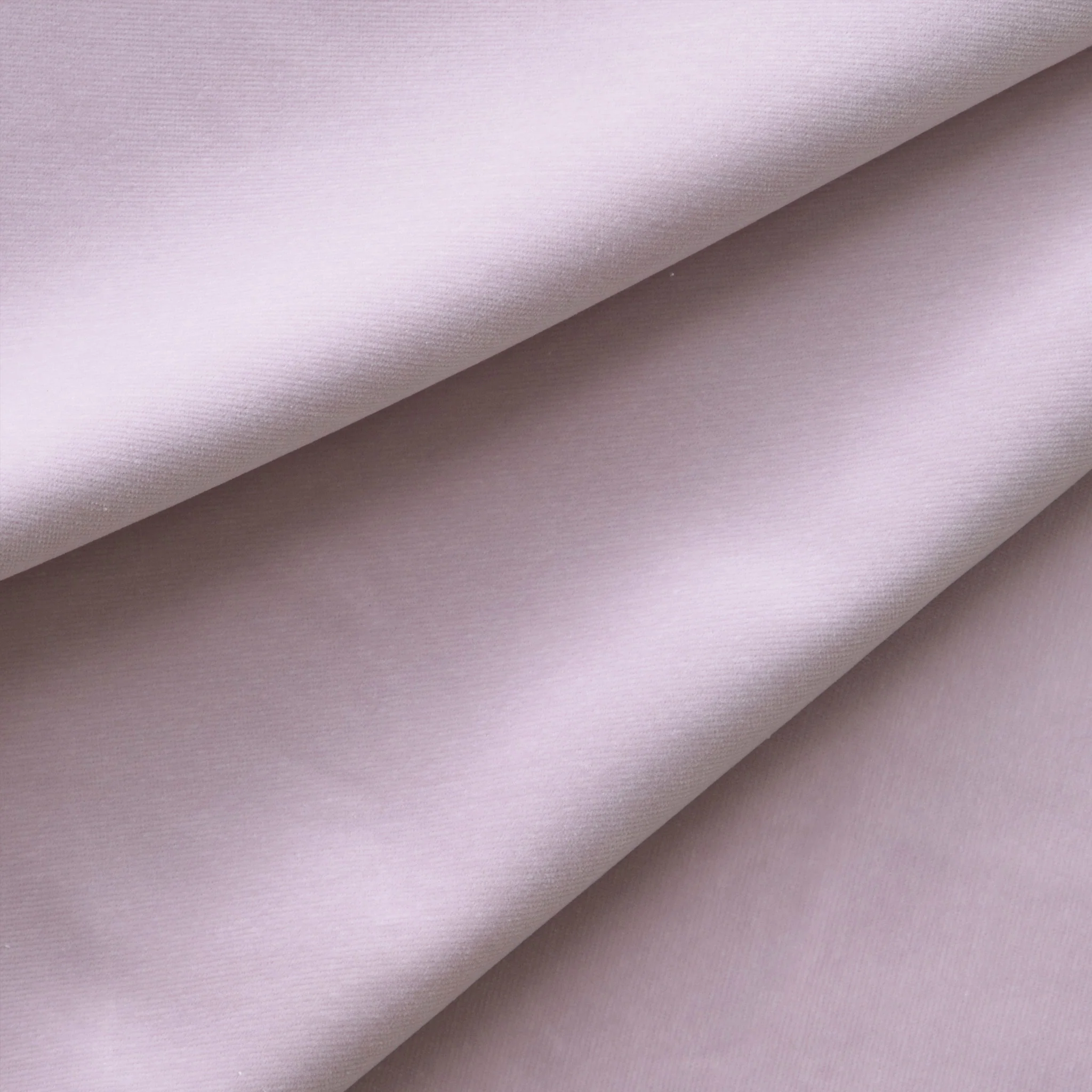Lilac - Image 2