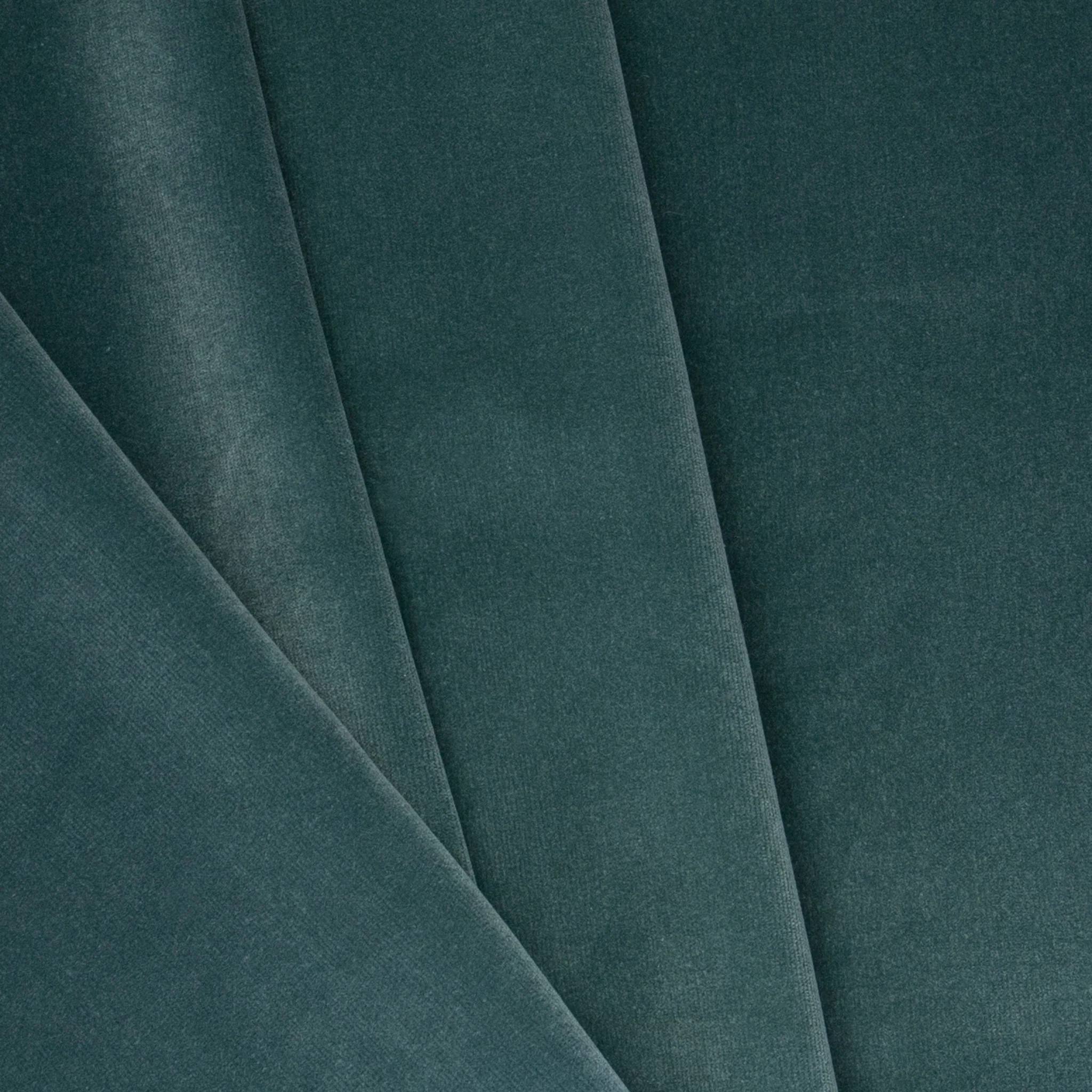 Peacock - Image 2
