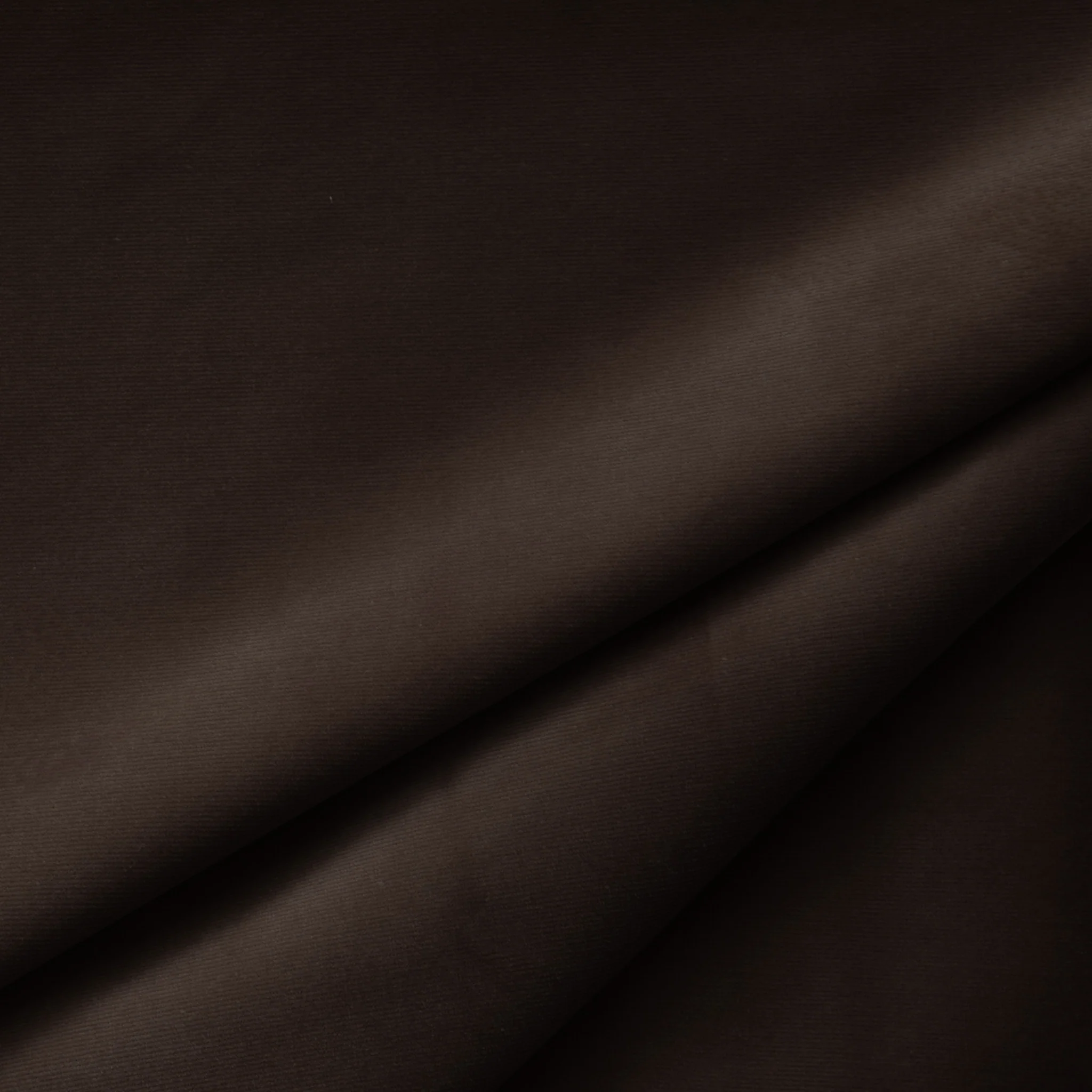 Walnut - Image 2