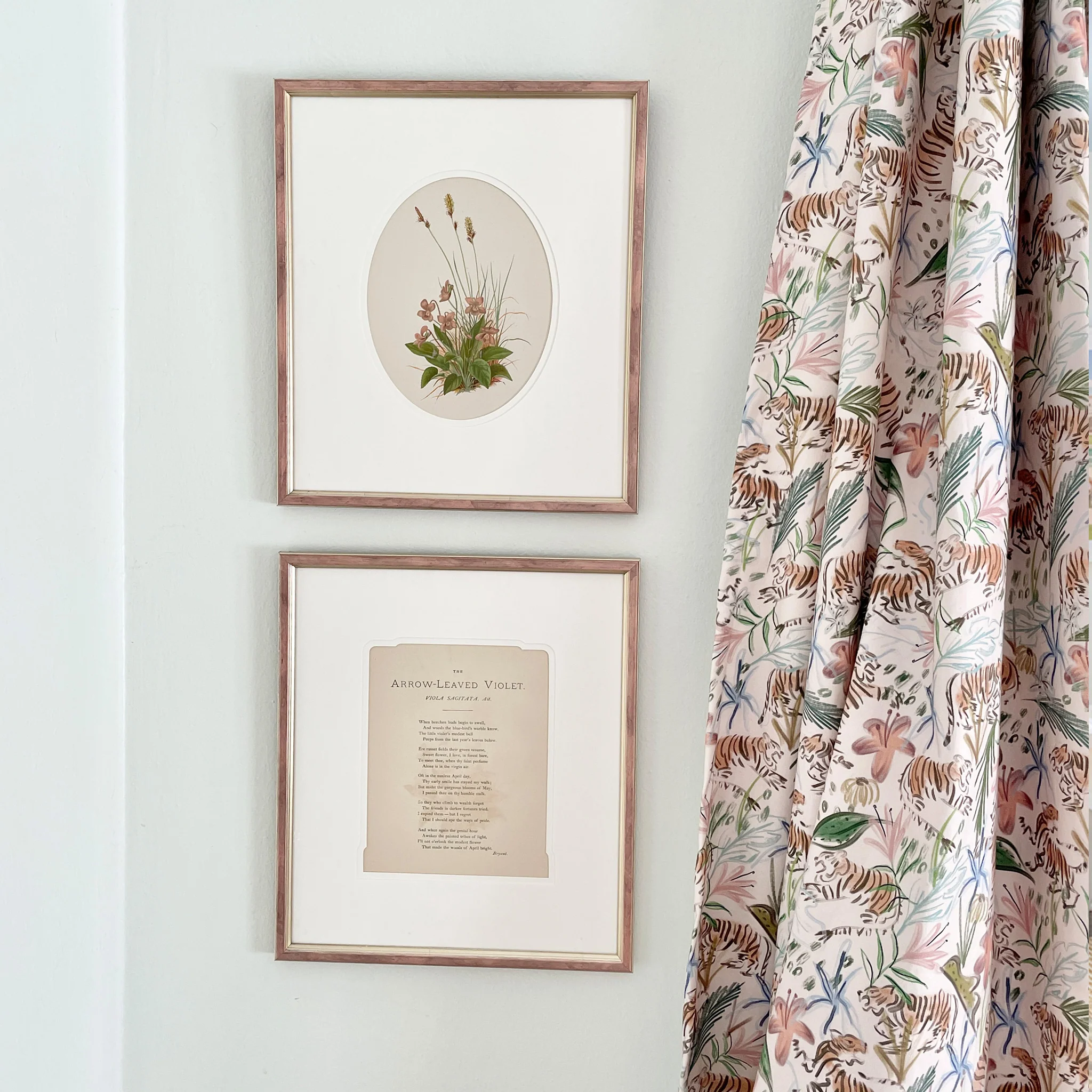 Frida Pink - Image 3