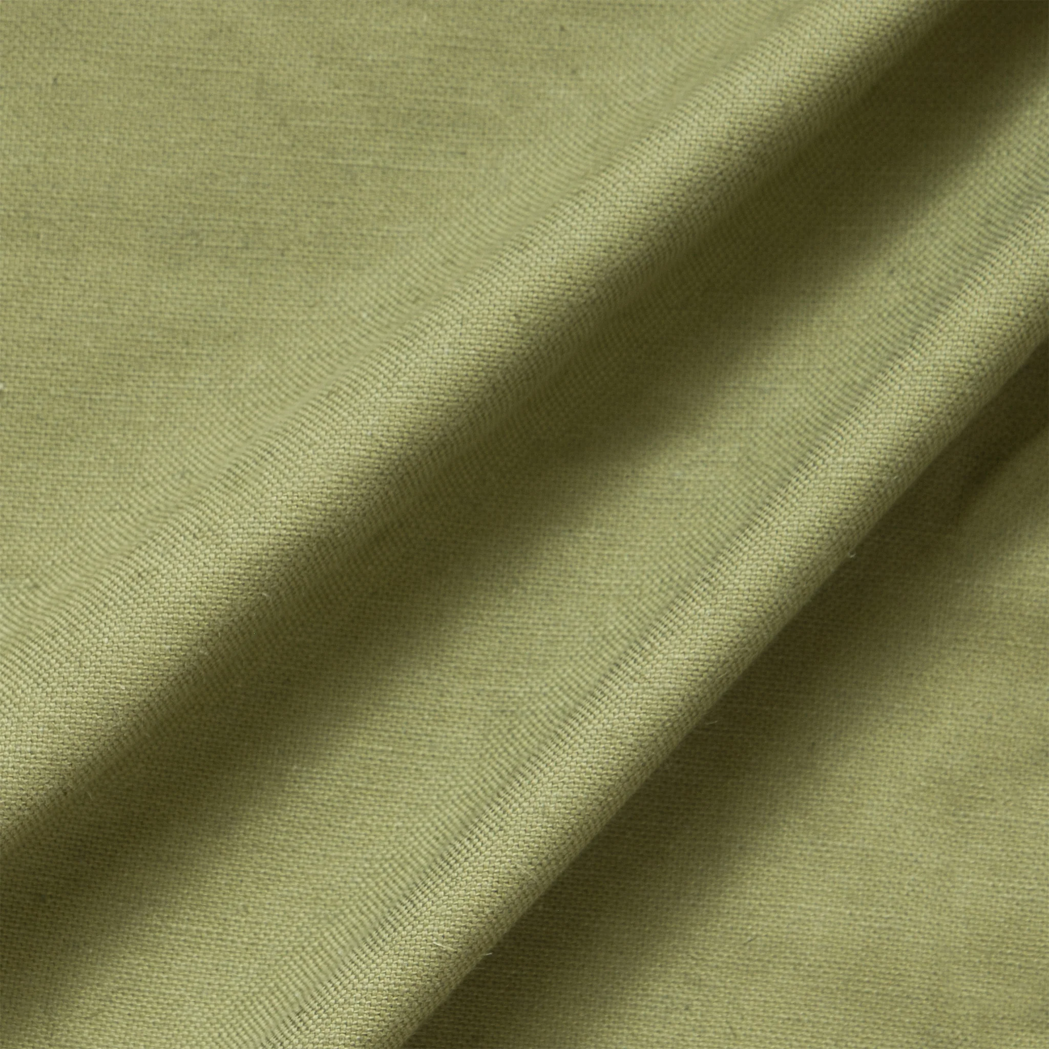 Moss - Image 2