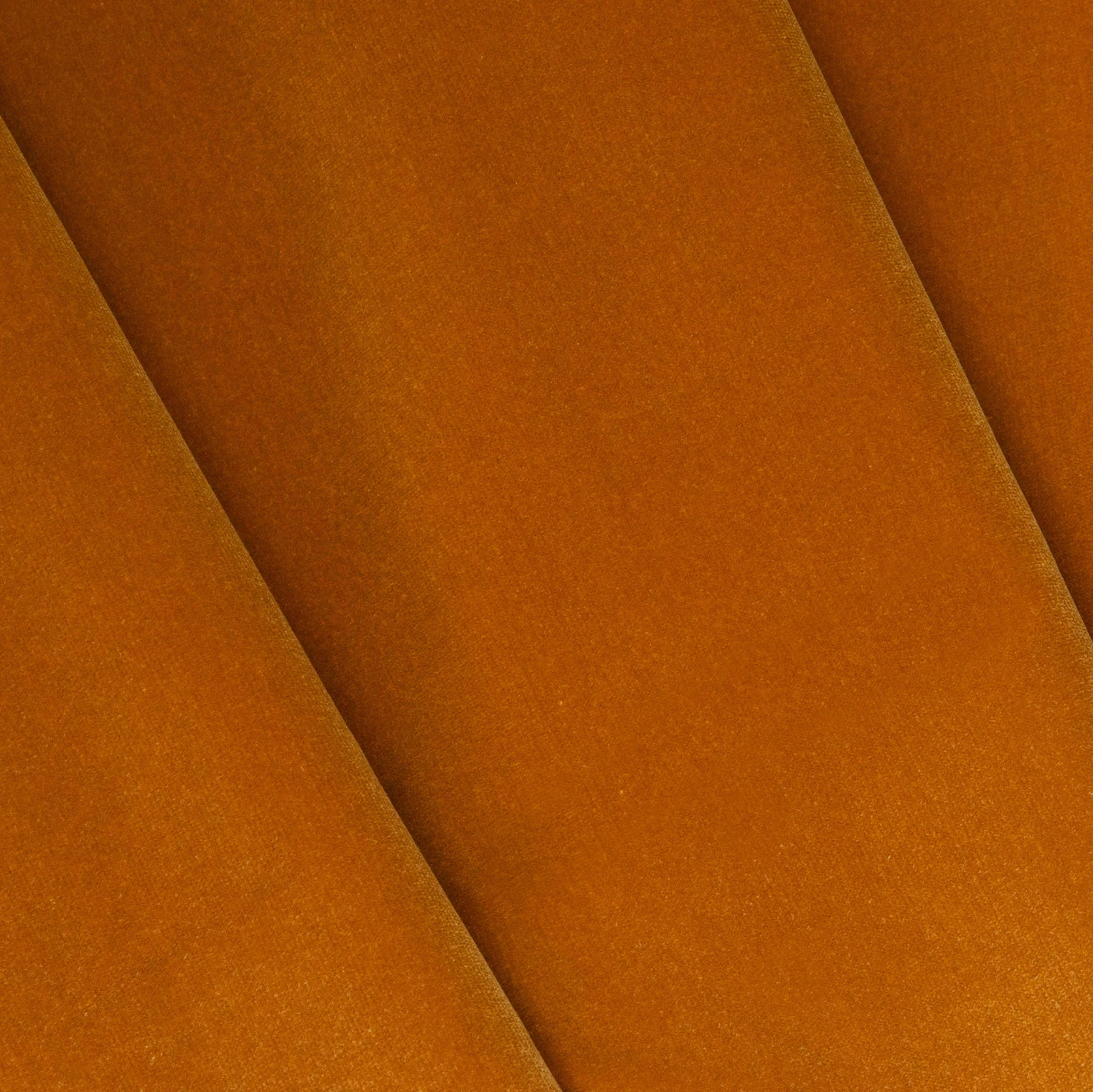 Autumn - Image 2