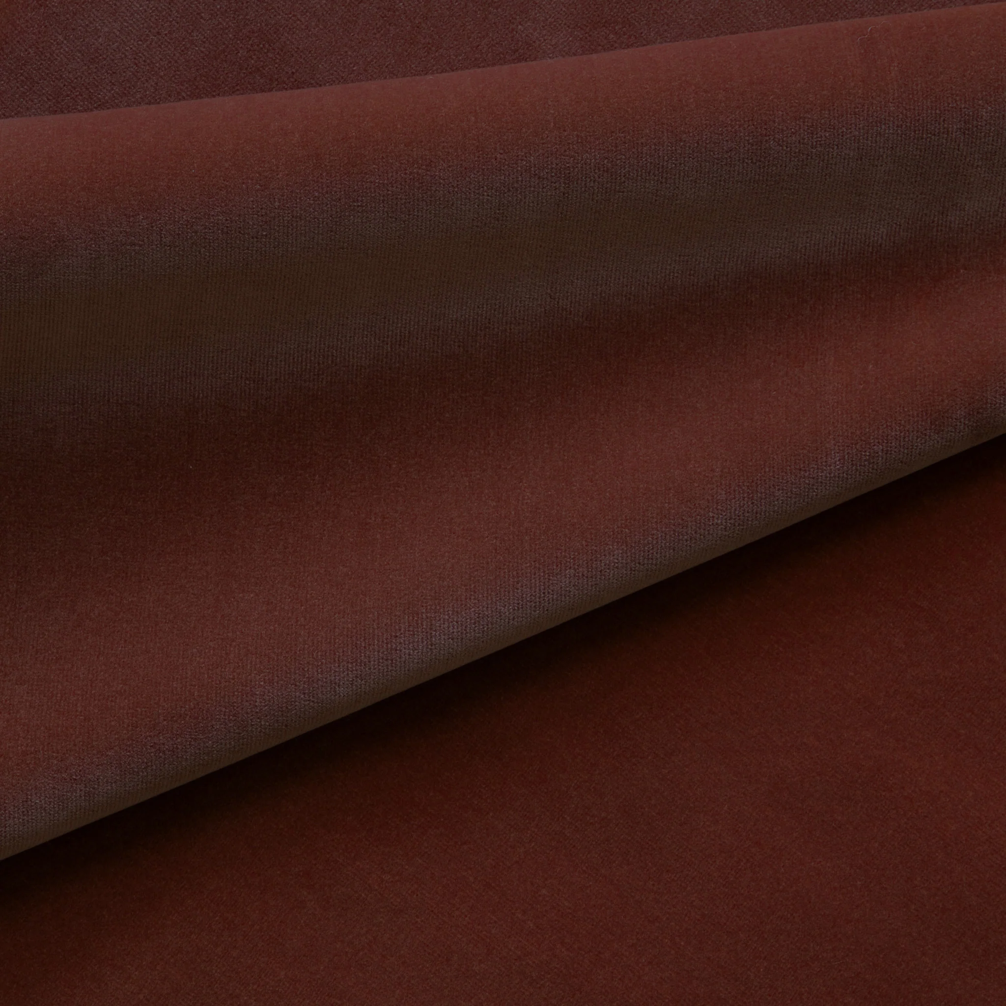 Cinnamon - Image 2