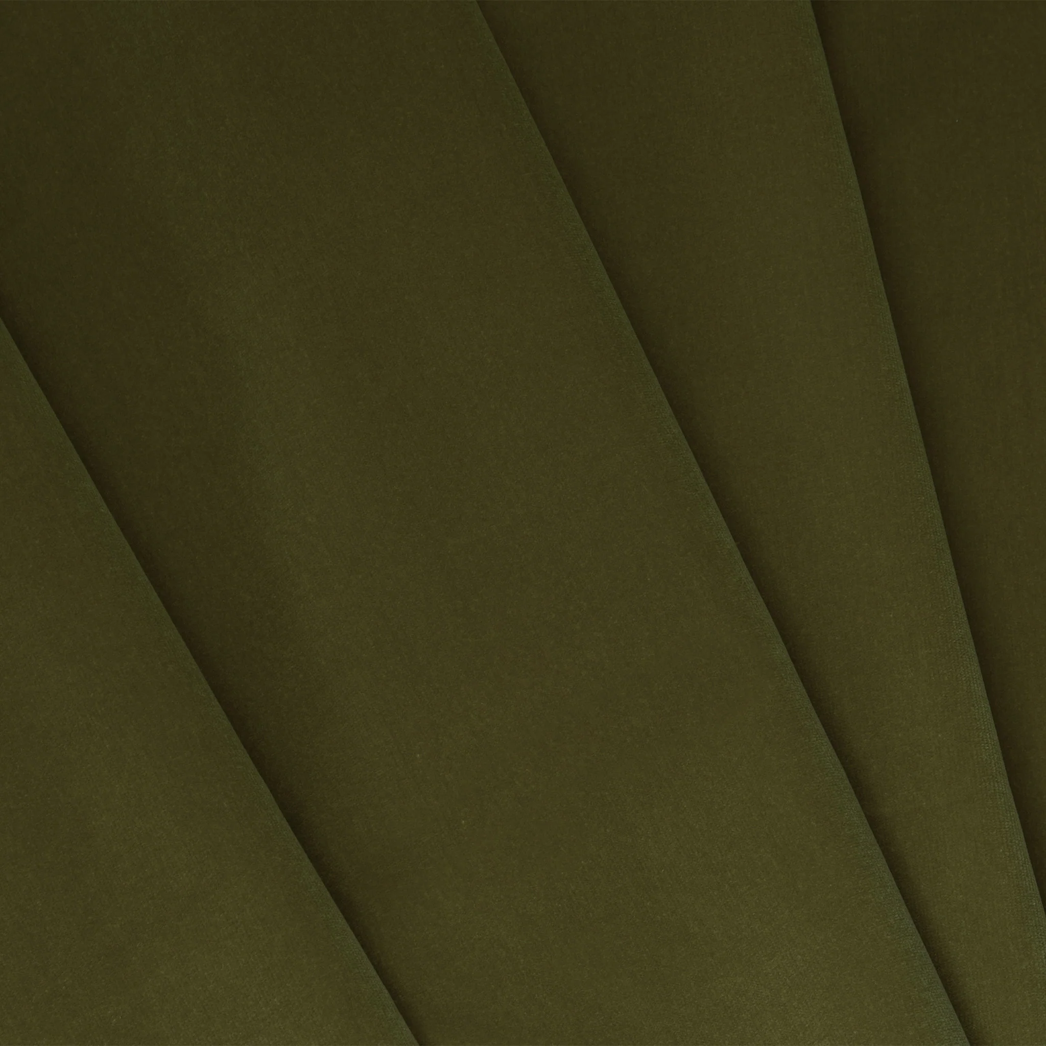 Olive - Image 2