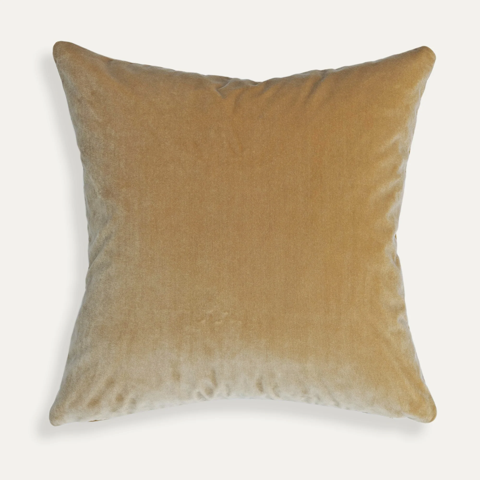 Camel Velvet