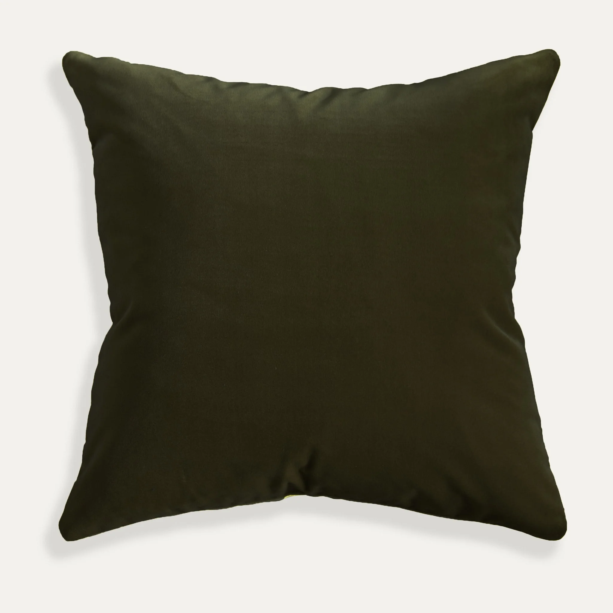 Olive Velvet