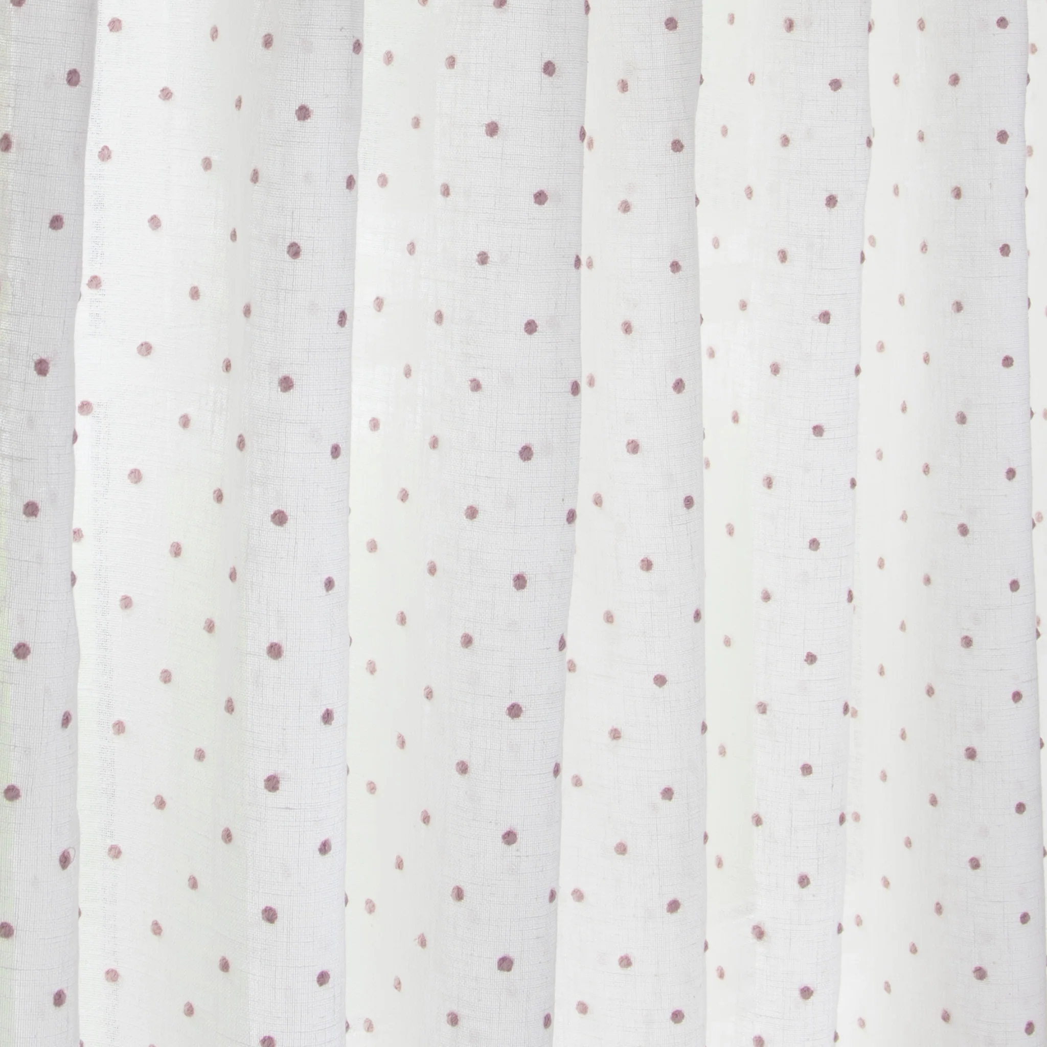 Eloise Orchid - Image 2