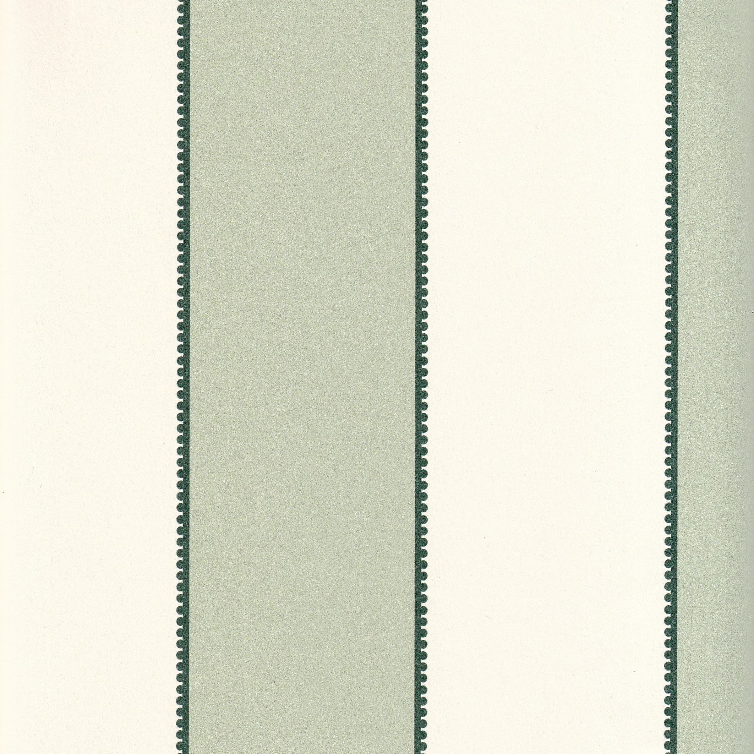 Florence Eucalyptus - Image 2