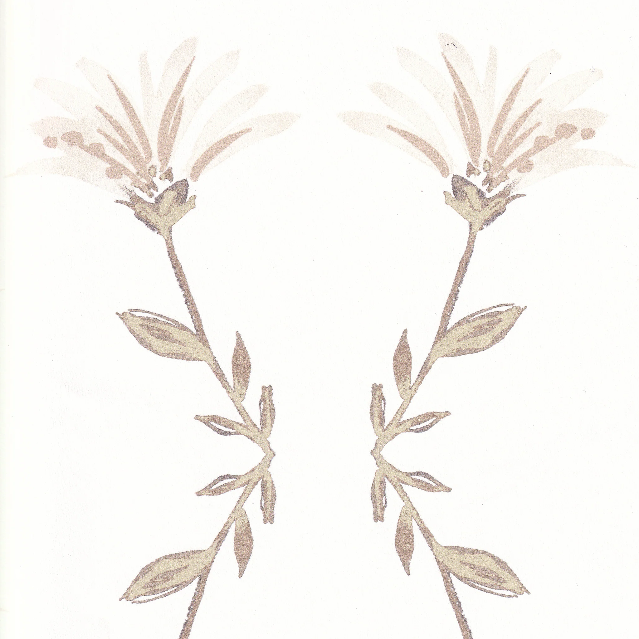 Marina Cream - Image 2
