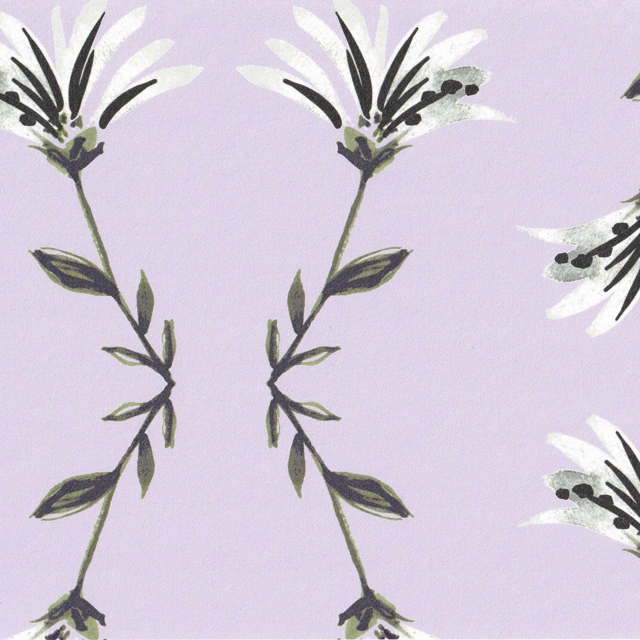 Marina Lavender - Image 2