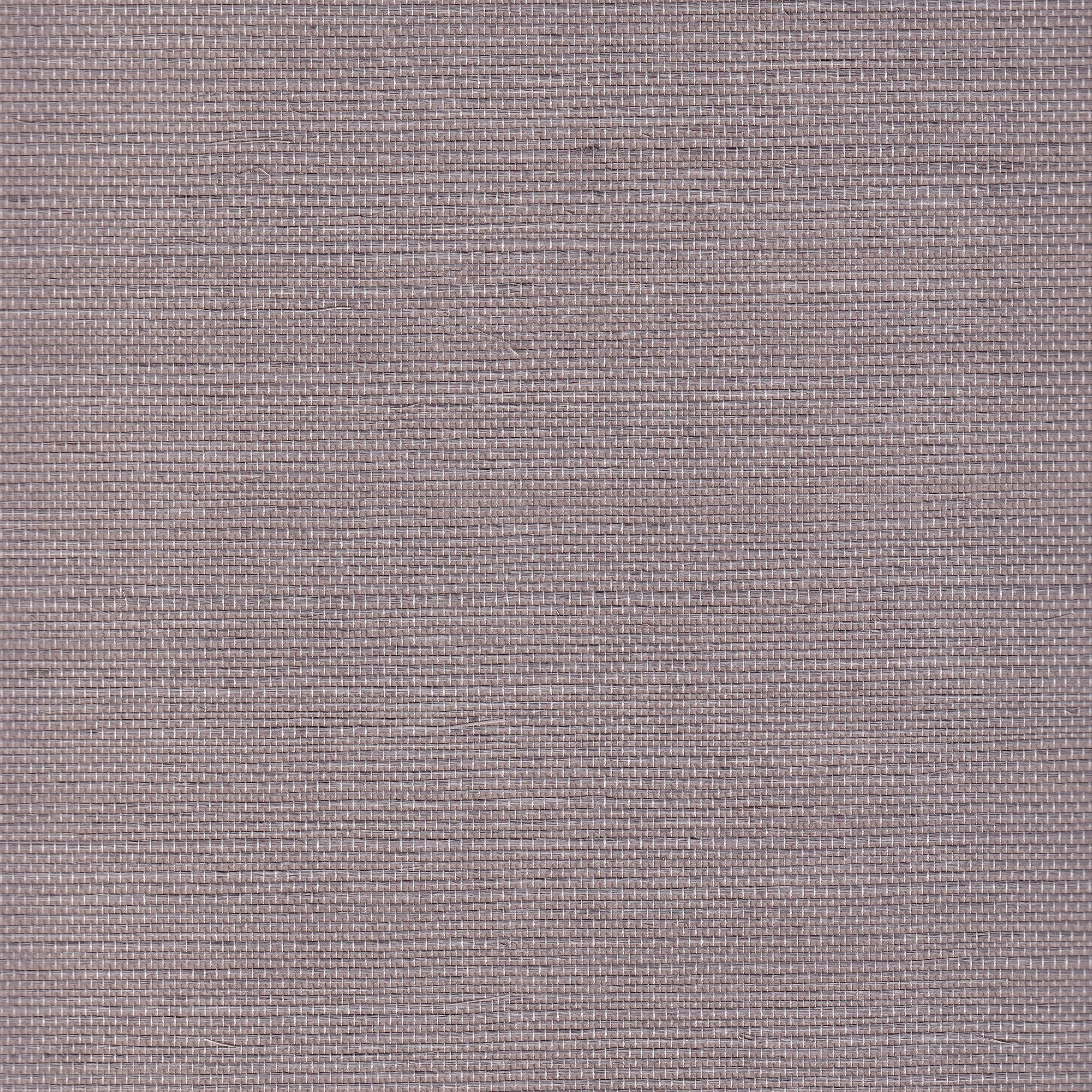 Heather - Image 2