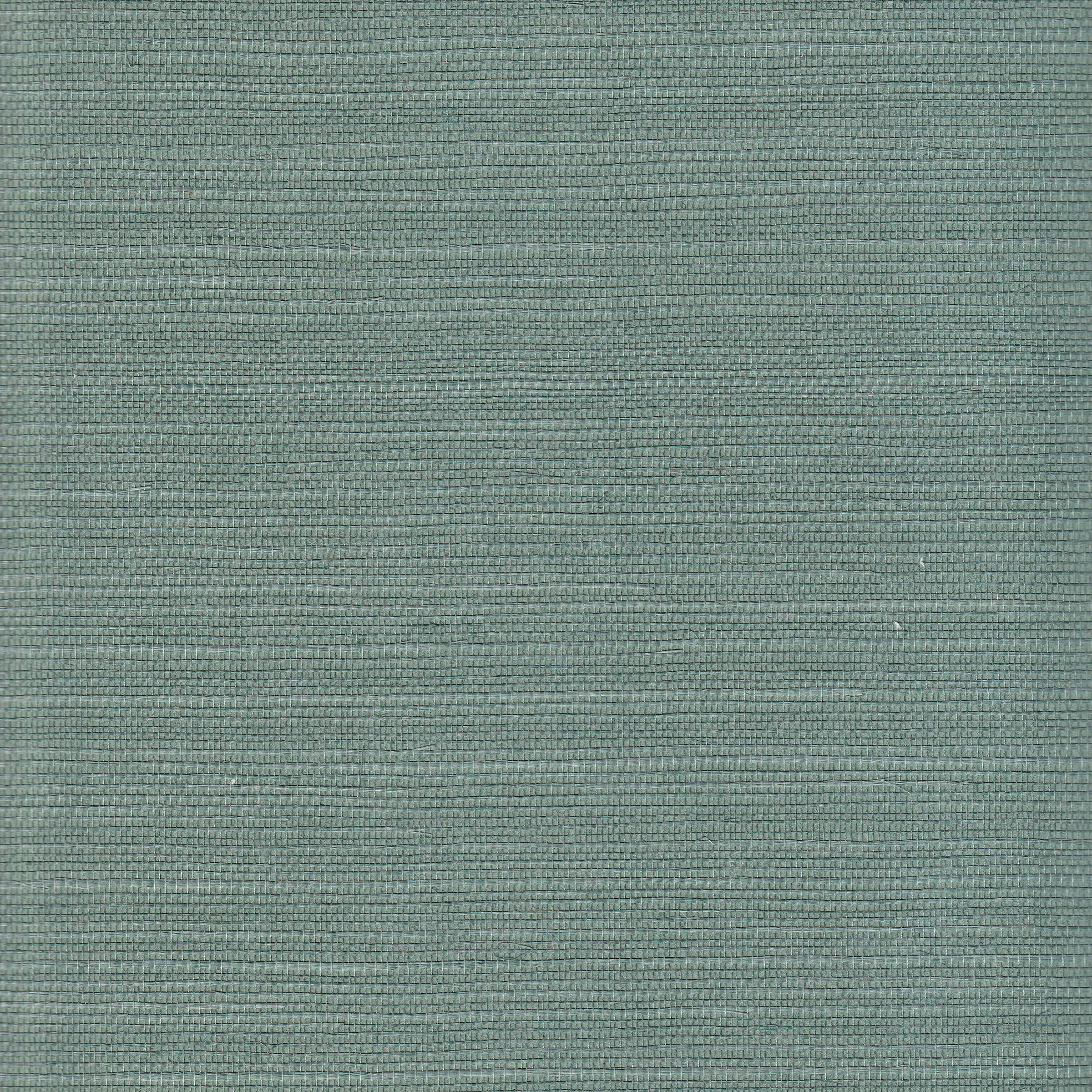 Jungle - Image 2