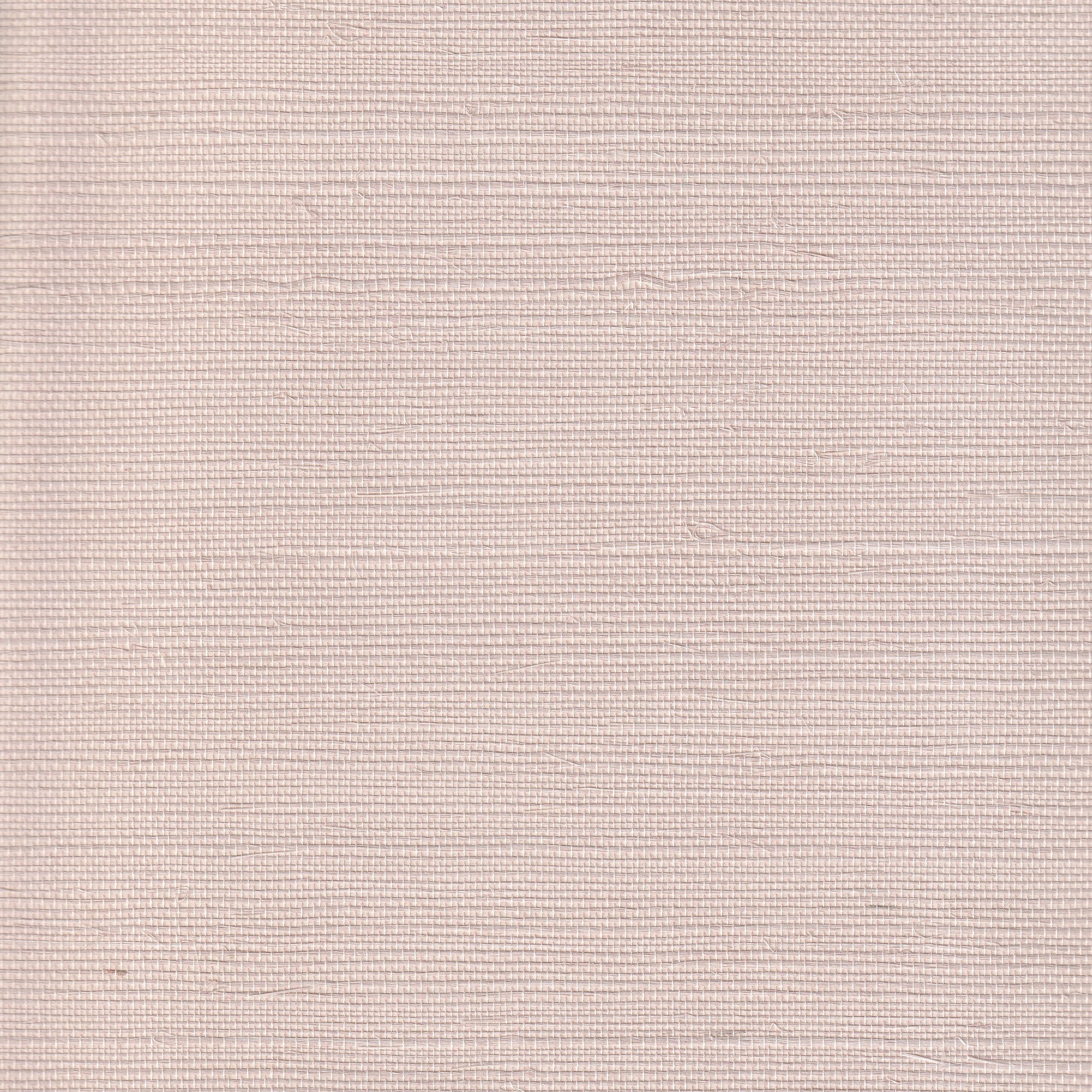 Peony - Image 2