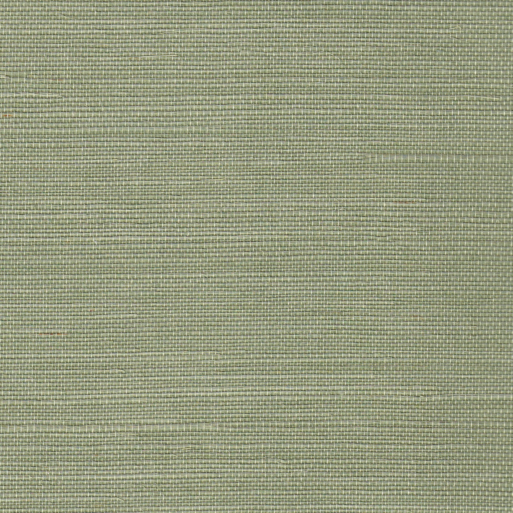Pistachio - Image 2