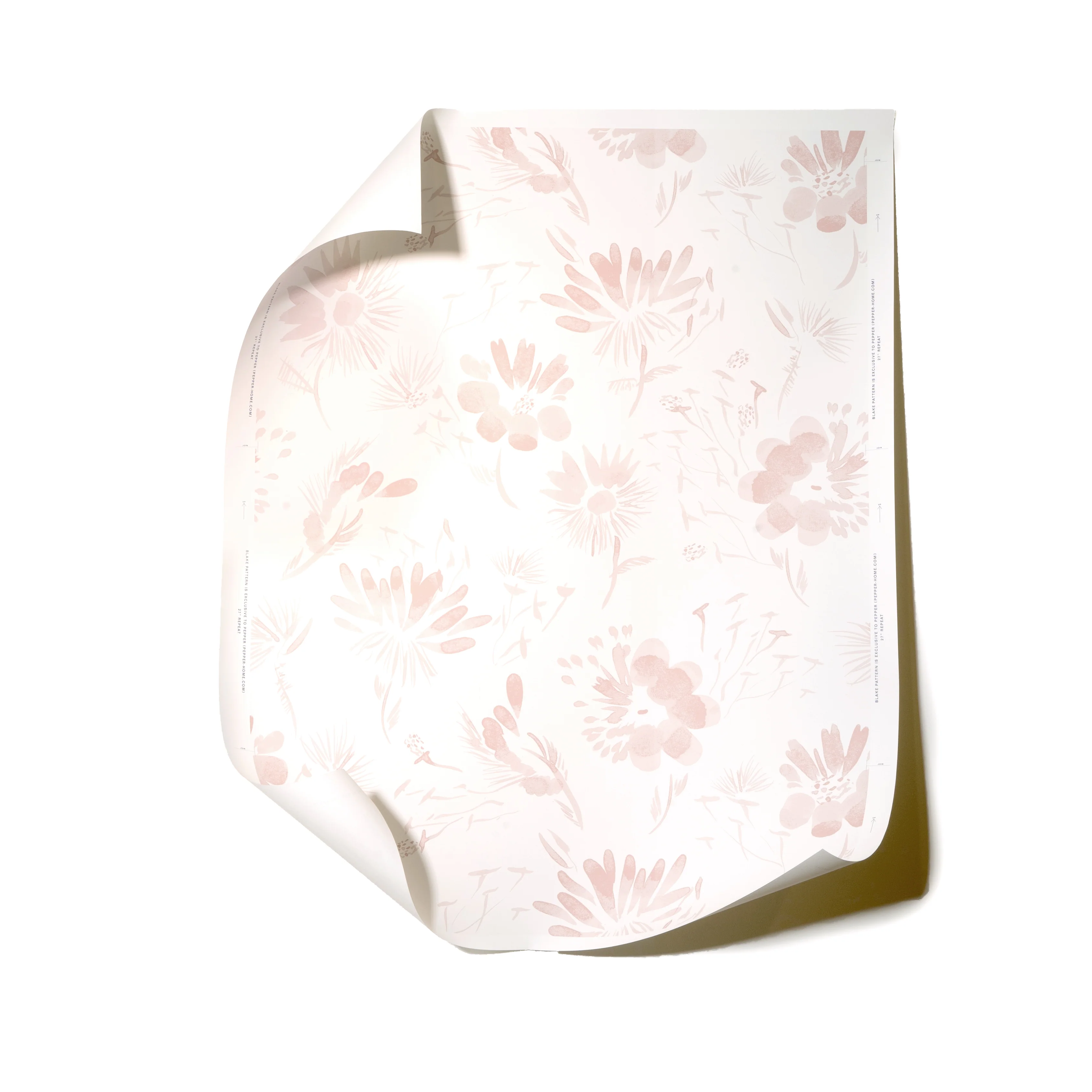 Blake Rose - Image 2