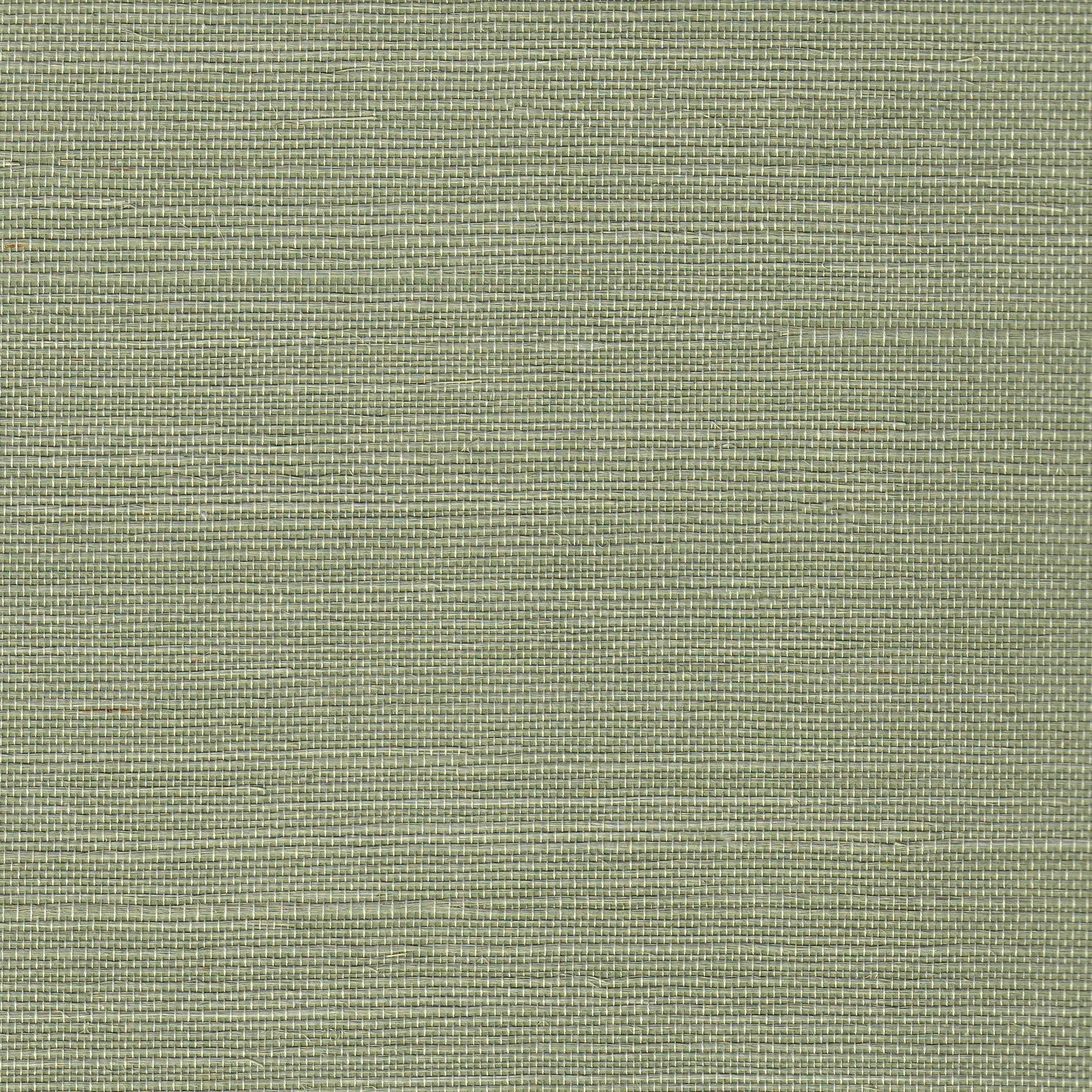 Pistachio